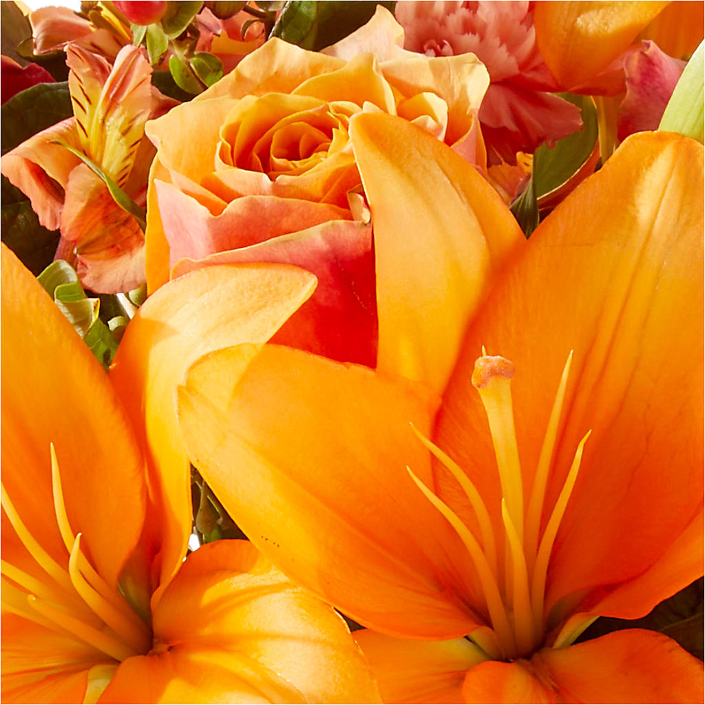 Afternoon Light Bouquet –  Sugardoll Florist, New York NY