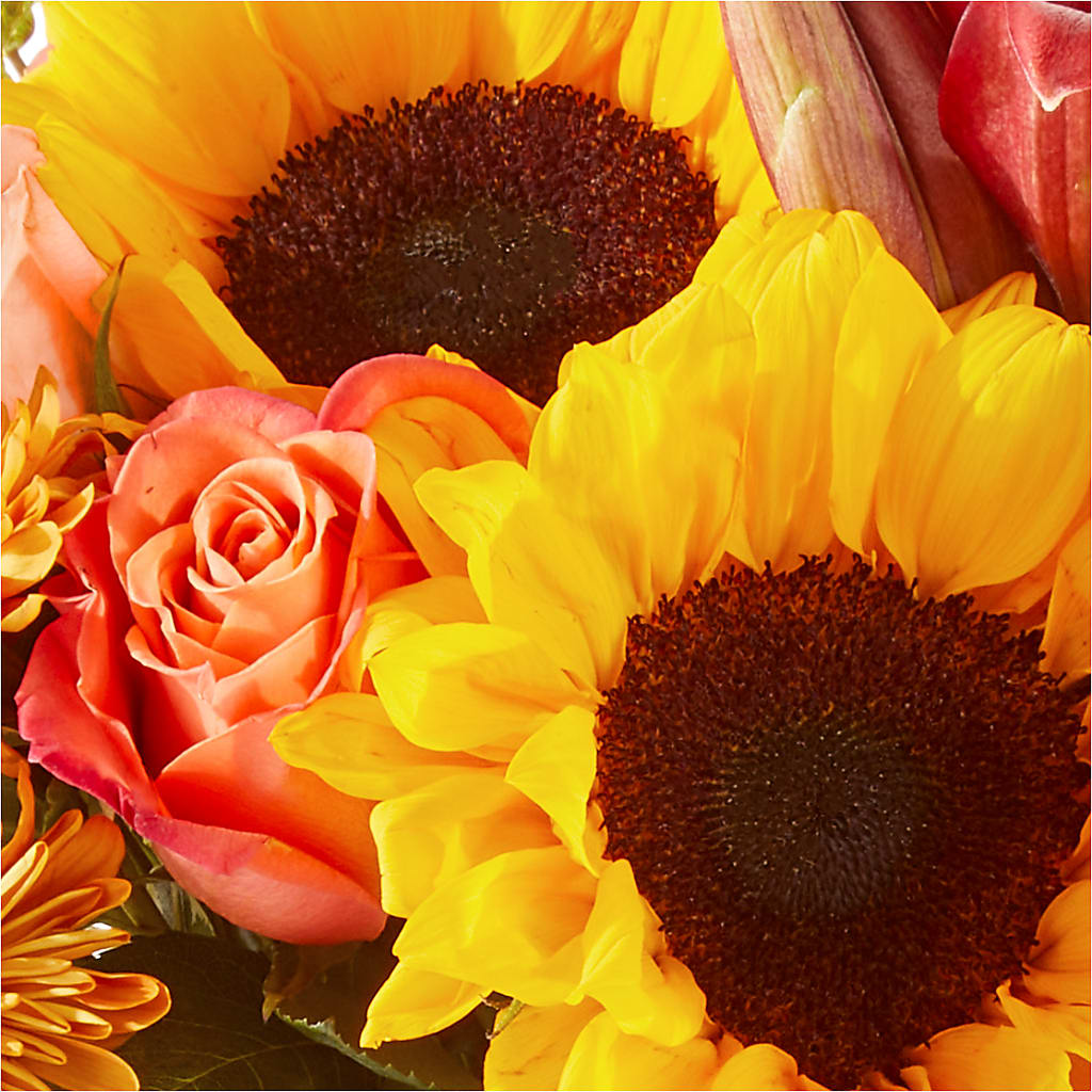 Acorn Lane Bouquet –  Sugardoll Florist, New York NY