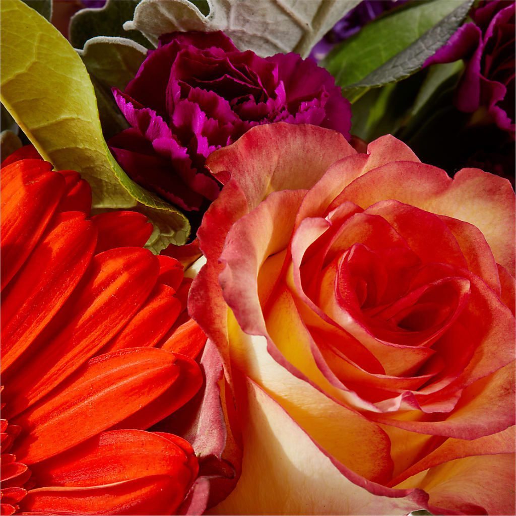 Sangria Bouquet –  Sugardoll Florist, New York NY