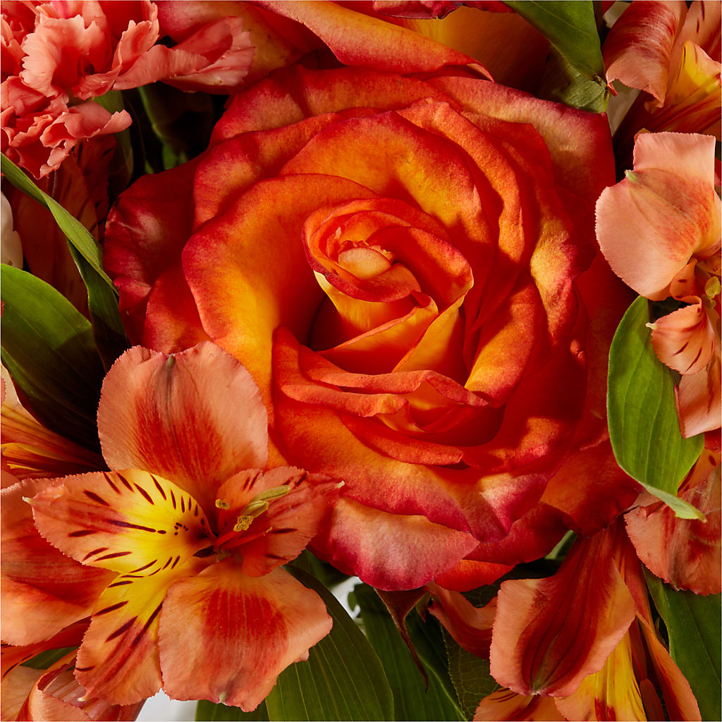 Apricot Glow Bouquet –  Sugardoll Florist, New York NY