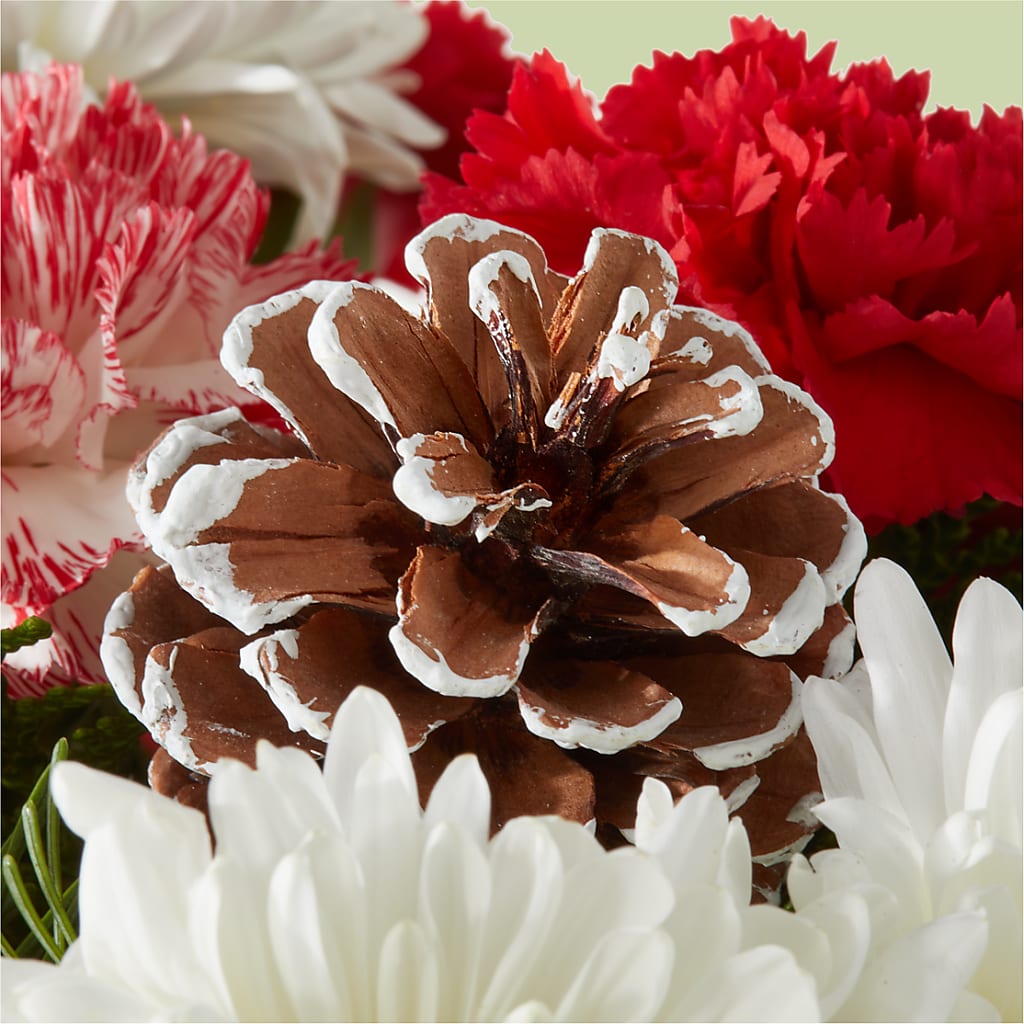 Candy Cane Lane Bouquet –  Sugardoll Florist, New York NY