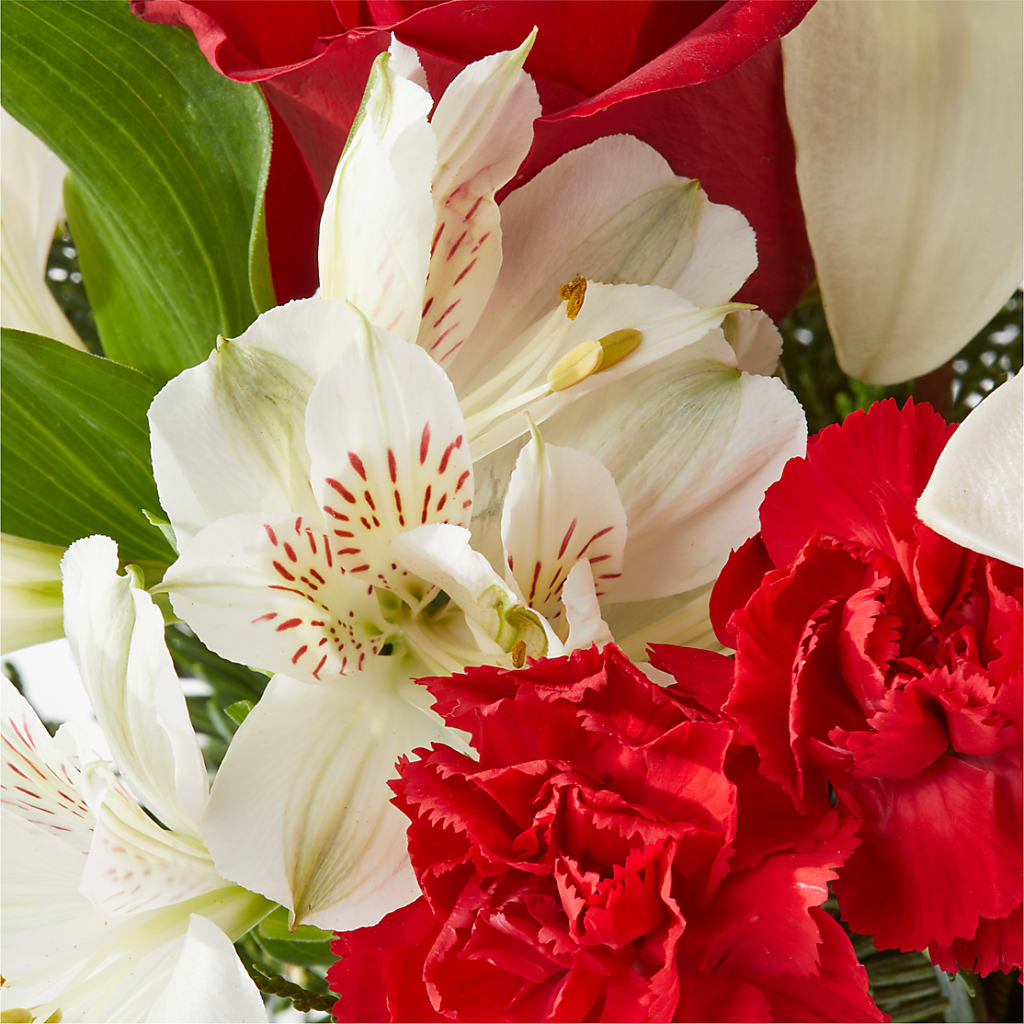 Holiday Season Bouquet –  Sugardoll Florist, New York NY