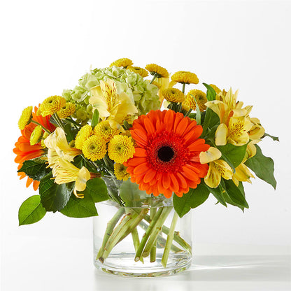 Autumn Sunshine Bouquet –  Sugardoll Florist, New York NY