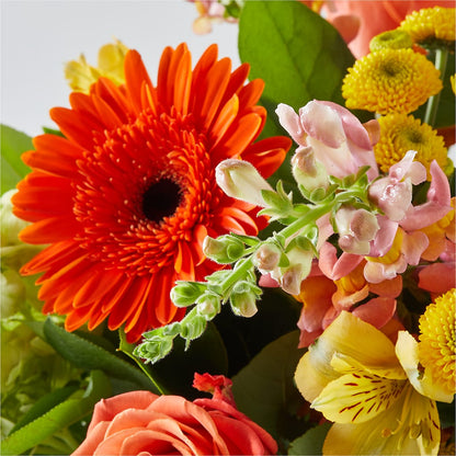 Autumn Sunshine Bouquet –  Sugardoll Florist, New York NY