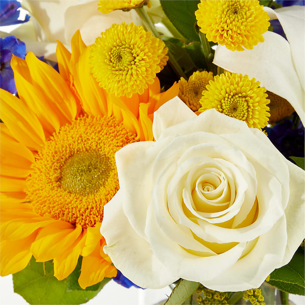Stargazing Bouquet –  Sugardoll Florist, New York NY