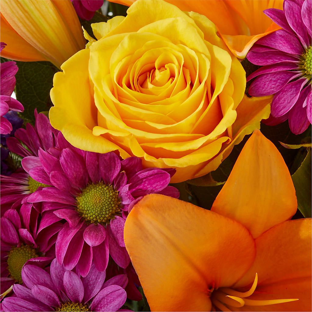 Colorful Visions Bouquet –  Sugardoll Florist, New York NY