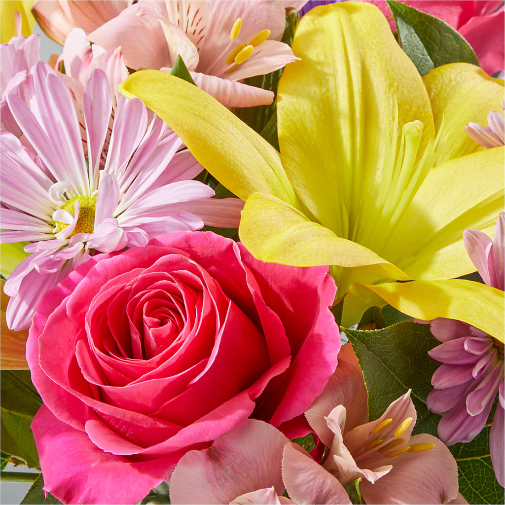 Sprinkles Bouquet –  Sugardoll Florist, New York NY