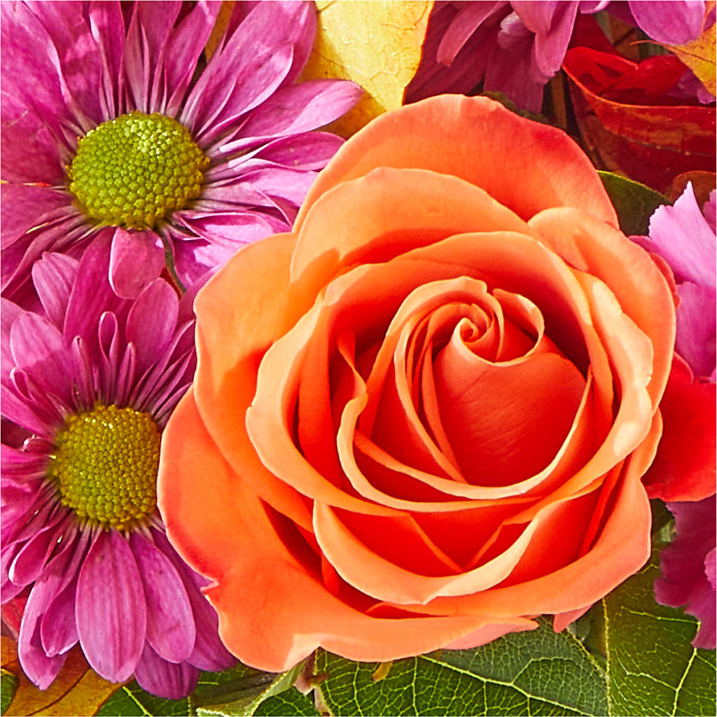 Mum's the Word Bouquet –  Sugardoll Florist, New York NY