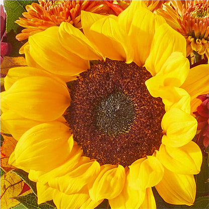 Sunny Side Bouquet –  Sugardoll Florist, New York NY