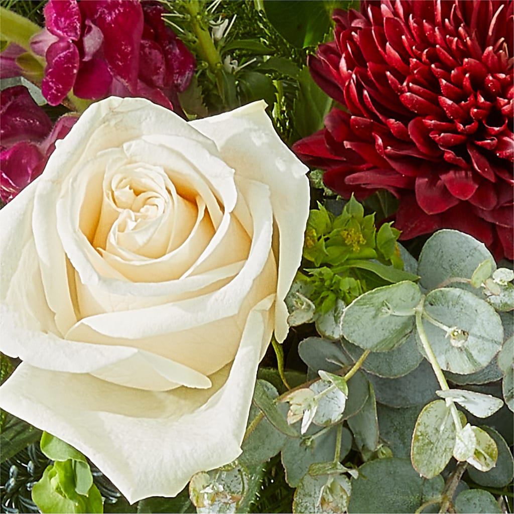 Cranberry Fizz Bouquet –  Sugardoll Florist, New York NY