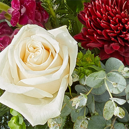 Cranberry Fizz Bouquet –  Sugardoll Florist, New York NY