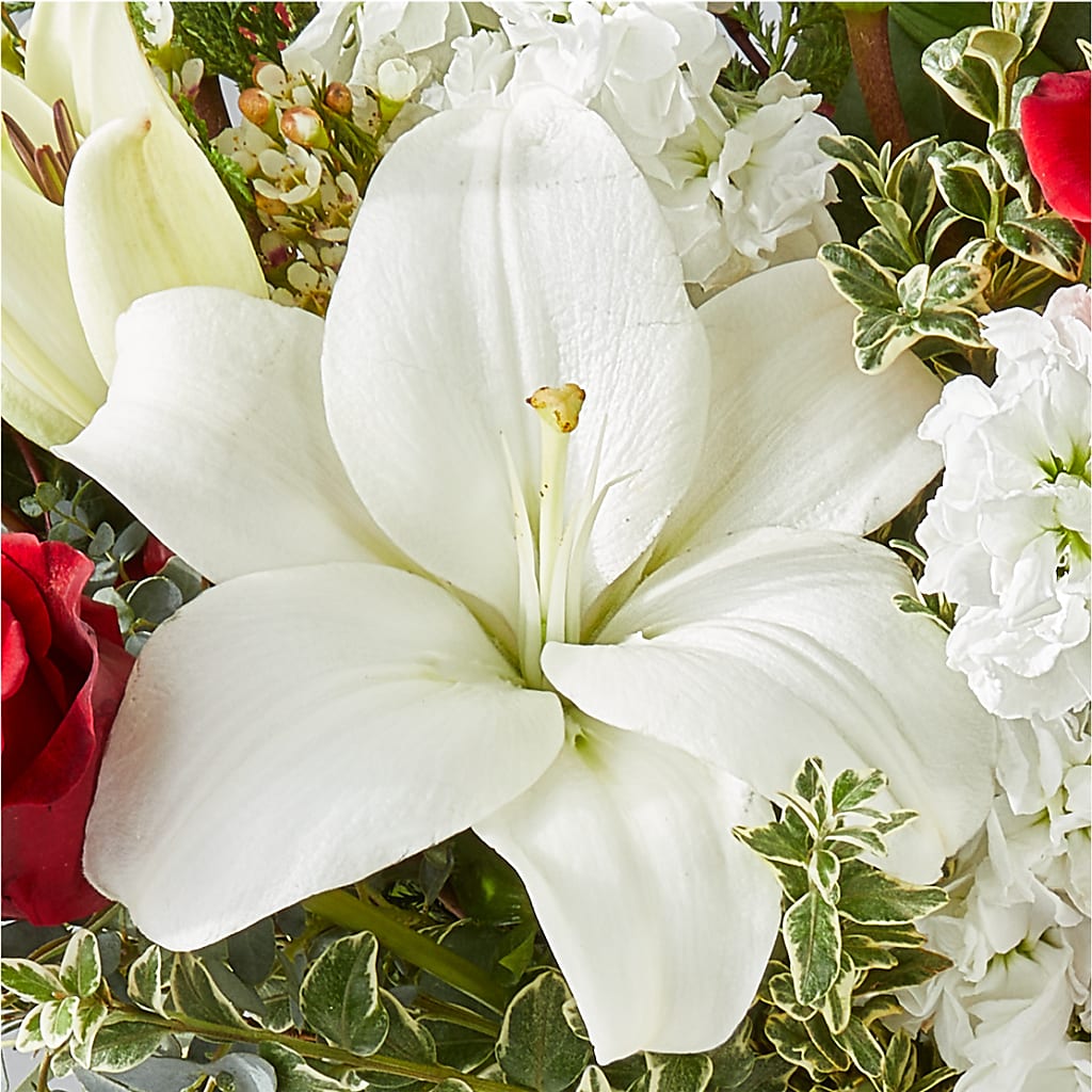 Twinkle Lights Bouquet –  Sugardoll Florist, New York NY