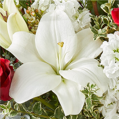 Twinkle Lights Bouquet –  Sugardoll Florist, New York NY