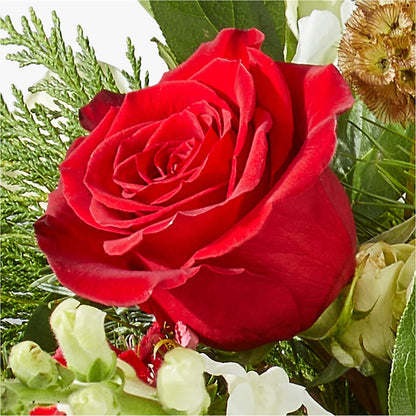 Deck the Halls Bouquet –  Sugardoll Florist, New York NY