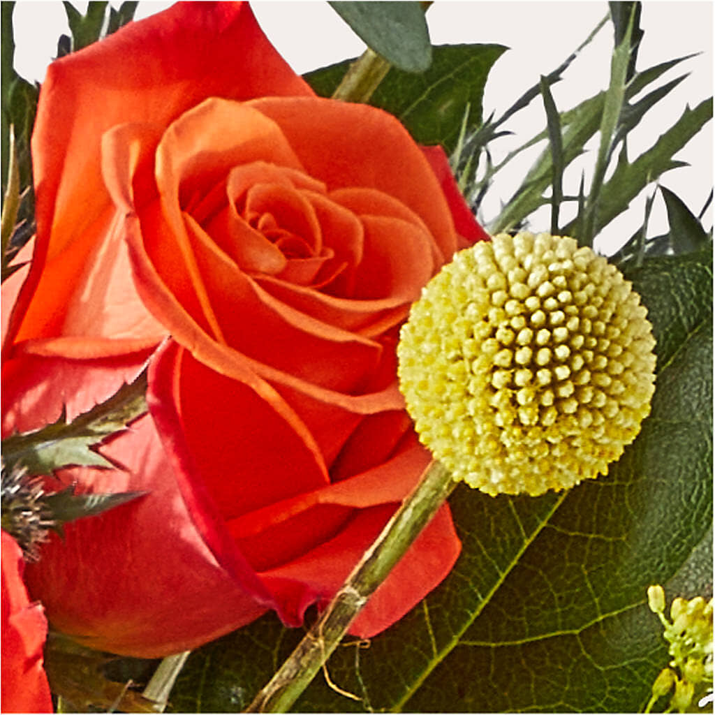 Disco Bouquet –  Sugardoll Florist, New York NY