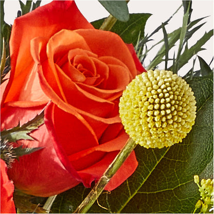 Disco Bouquet –  Sugardoll Florist, New York NY