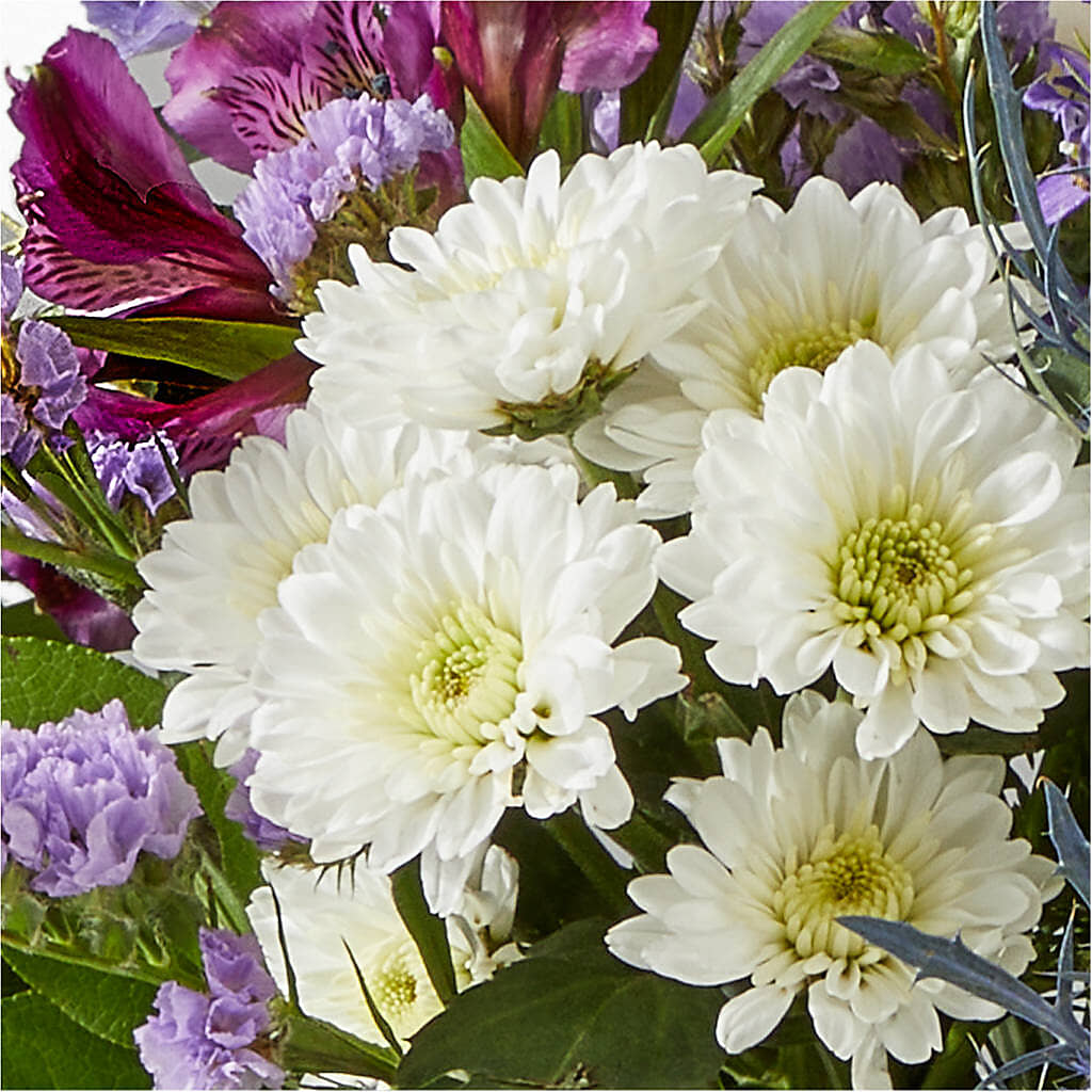 Shooting Star Bouquet –  Sugardoll Florist, New York NY