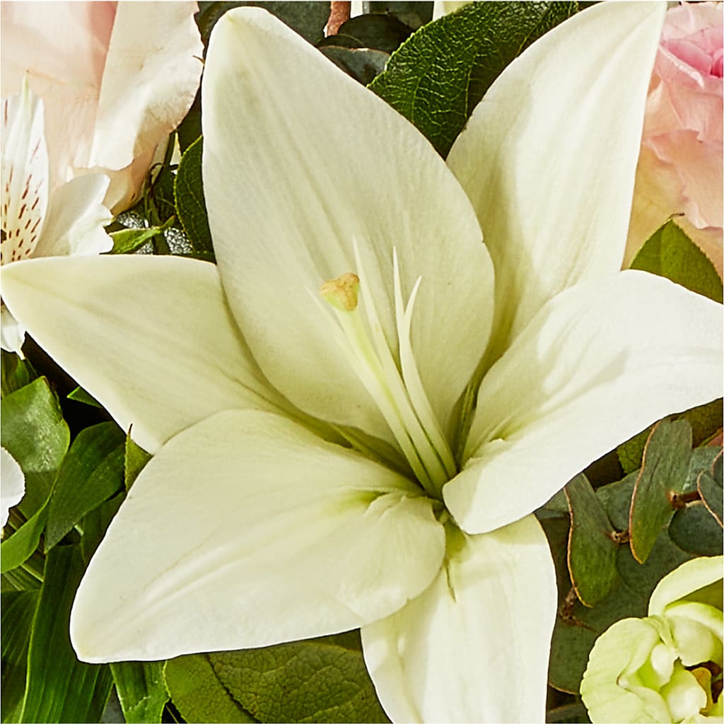 Ballet Slippers Bouquet –  Sugardoll Florist, New York NY