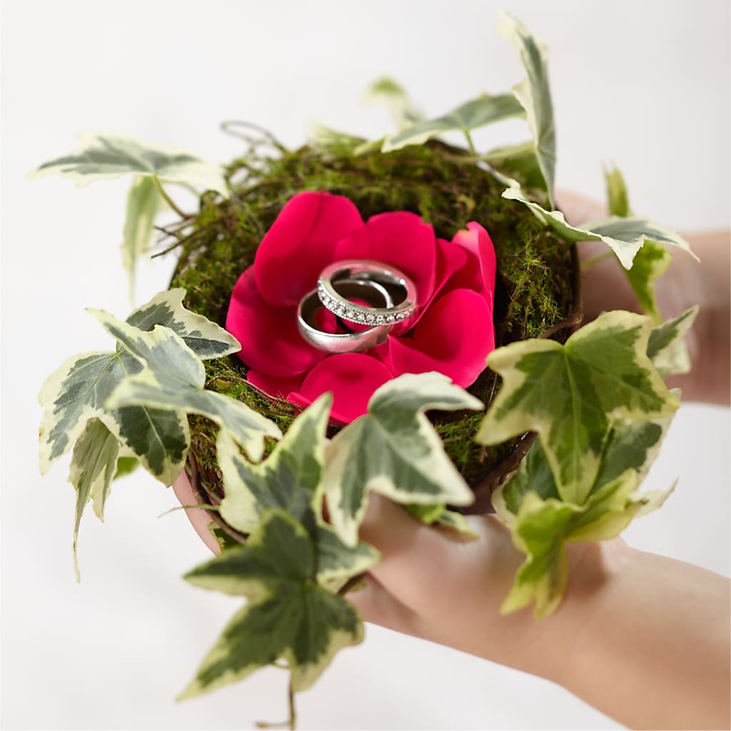 Lila Rose Ring Nest –  Sugardoll Florist, New York NY