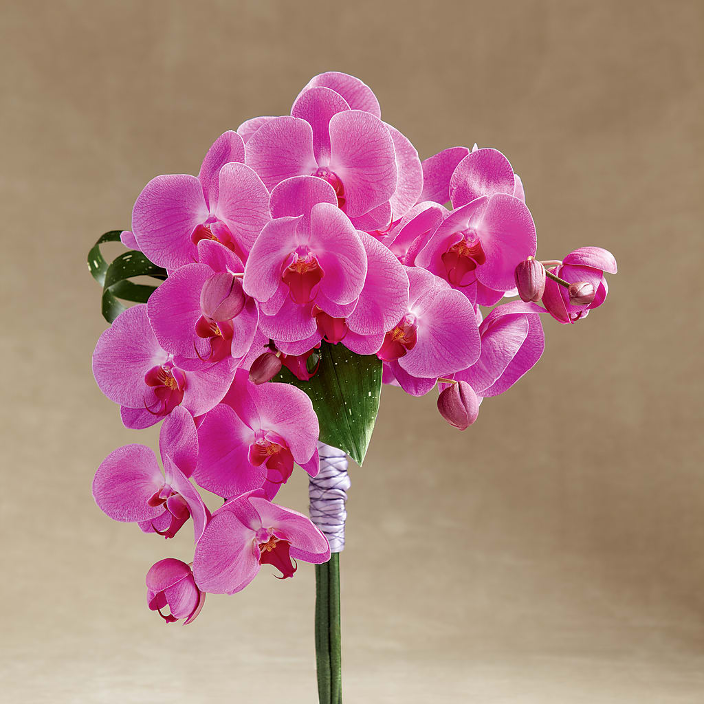 Glorious Bouquet –  Sugardoll Florist, New York NY