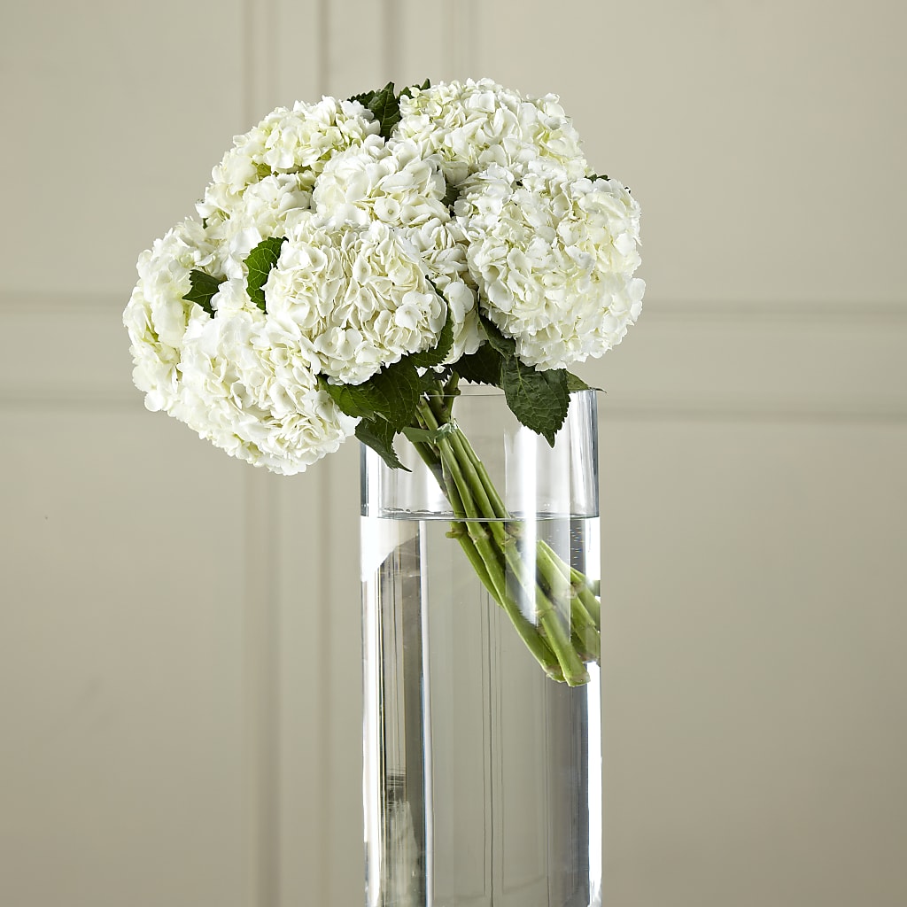 White Hydrangea Hand-Tied Bouquet –  Sugardoll Florist, New York NY