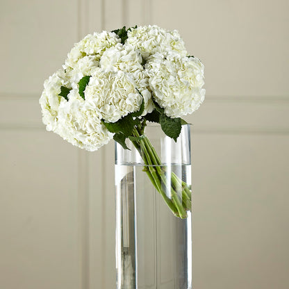 White Hydrangea Hand-Tied Bouquet –  Sugardoll Florist, New York NY