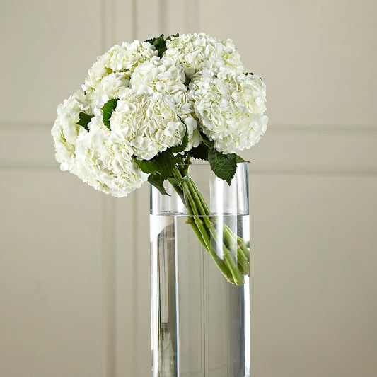 White Hydrangea Hand-Tied Bouquet –  Sugardoll Florist, New York NY