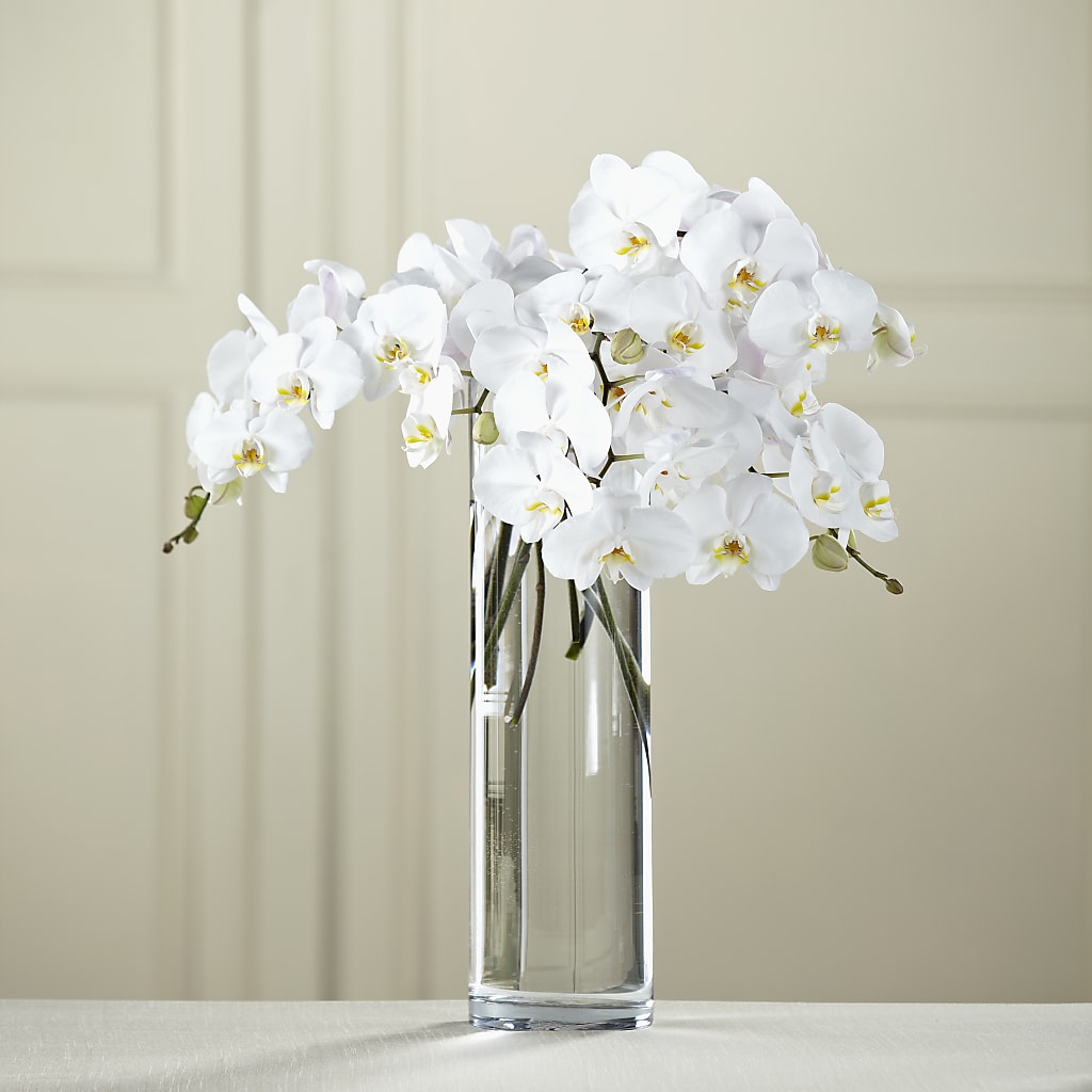 White Phalaenopsis Bouquet –  Sugardoll Florist, New York NY