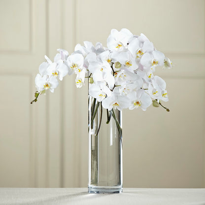 White Phalaenopsis Bouquet –  Sugardoll Florist, New York NY
