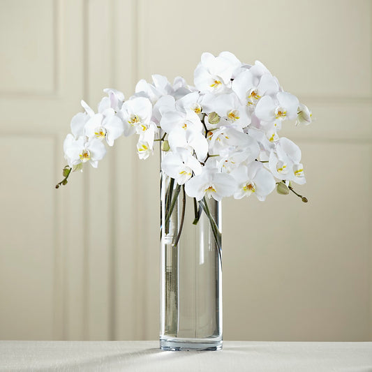 White Phalaenopsis Bouquet –  Sugardoll Florist, New York NY
