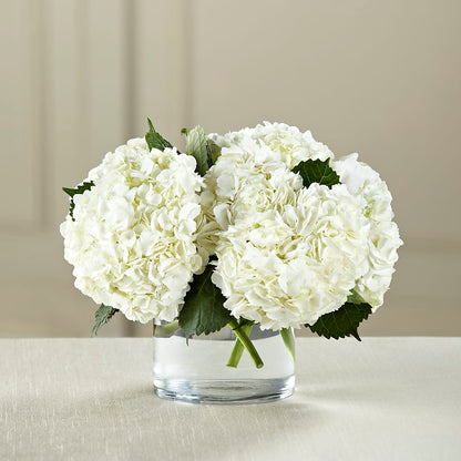 White Hydrangea Bouquet –  Sugardoll Florist, New York NY